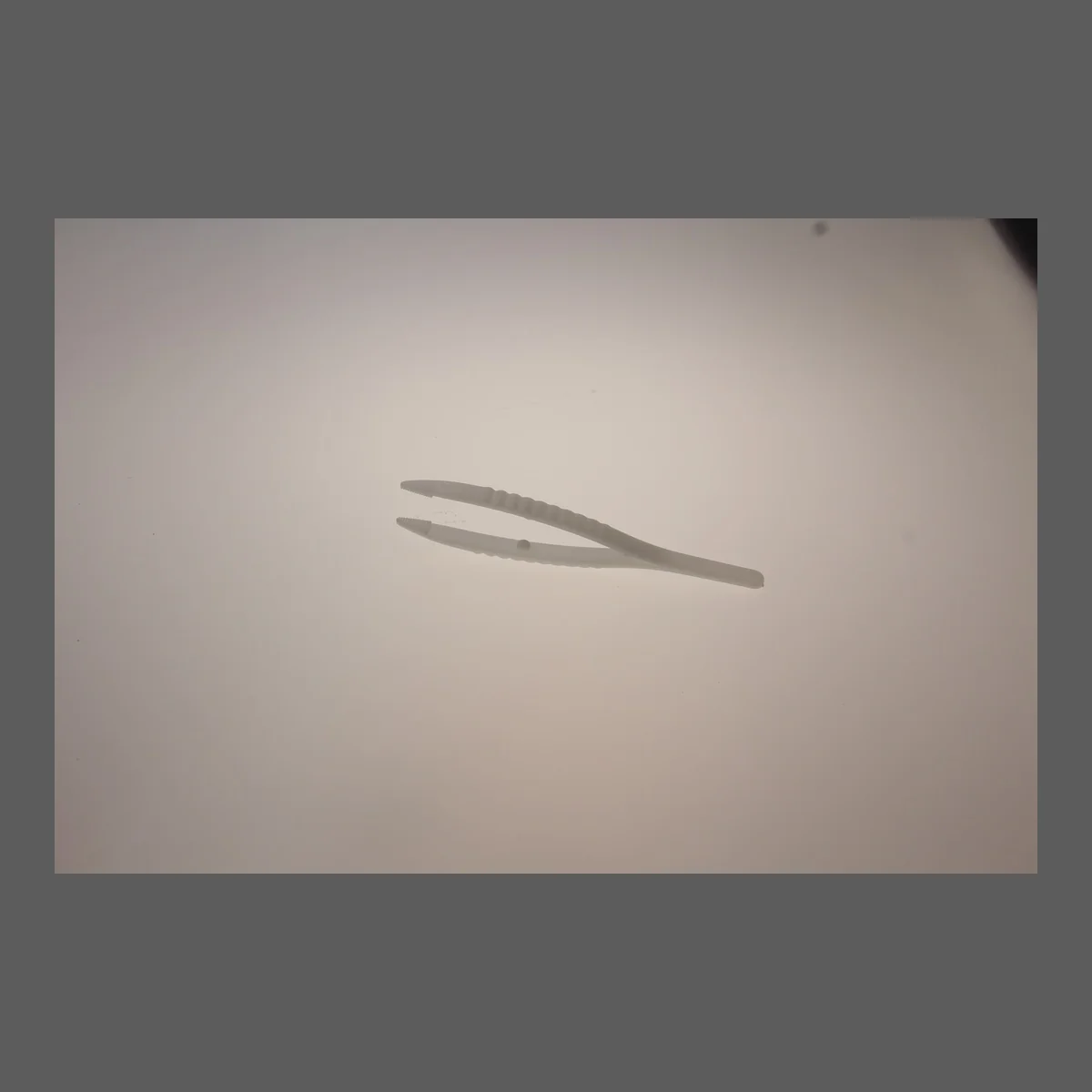 一次性无菌镊子(透明)